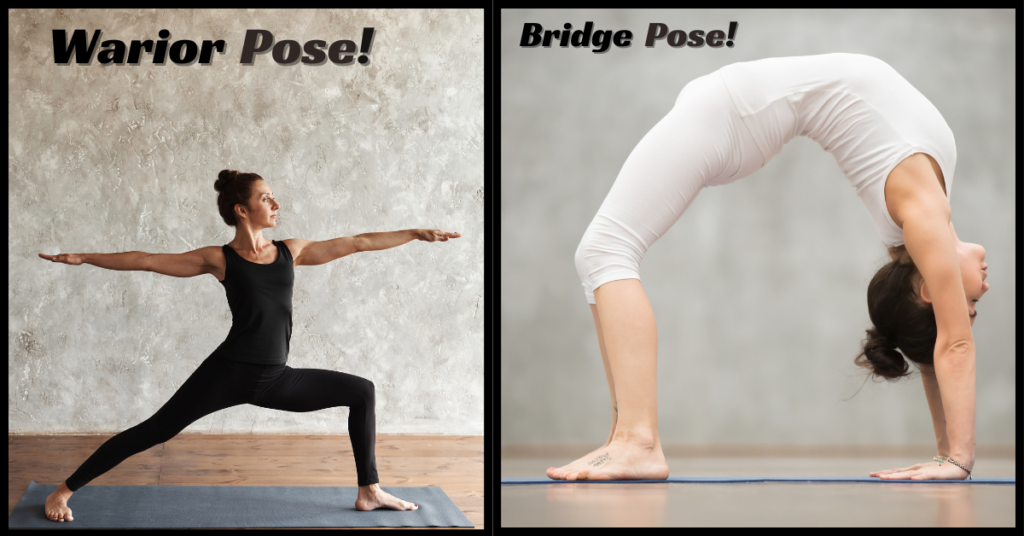 Warrior and Bridge Poses